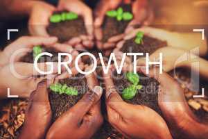 Success doesnt just happen, youve got to nurture it. a group of people holding plants growing out of soil.