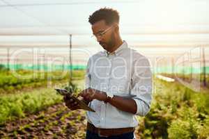 Male farmer planning online strategy on a tablet looking at farm growth outdoors. Digital agriculture analyst analyzing farming data. Worker research environment and sustainability