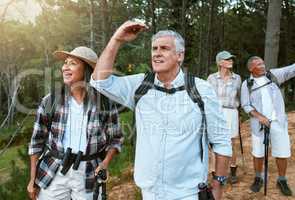 . Hiking, adventure and exploring with a group of senior friends having fun, exercising and enjoying the outdoors. Walking, discovery and journey with old people sightseeing in the forest or woods.