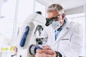 This could be the next breakthrough. a mature scientist using a microscope in a lab.