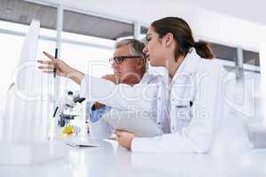 Running through their latest findings. two scientists working together on a computer in a lab.