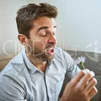 Flowers make me sneeze. a carefree young man about to sneeze while holding a flower in his hands and seated on a couch at home.