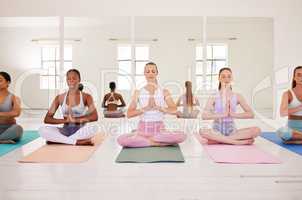 Zen women in yoga meditation class in a lotus pose for balance, peace and spiritual training in a studio. Awareness, mindful and flexible people meditating and living a healthy stress free lifestyle