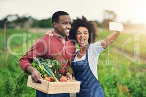 Enjoying life on the farm. an affectionate young couple taking selfies while working on their farm.