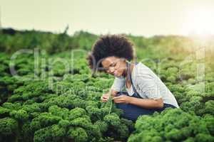 I grow my money the organic way. an attractive young female farmer working the fields.