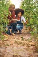 Tracking their crops digitally. Full length shot of young farm couple using a tablet while checking their crops.