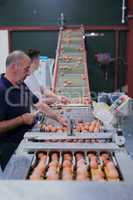 Working gently yet efficiently. a focused mature factory worker sorting out chicken eggs on a conveyer belt inside of a factory.