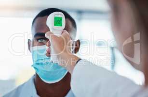 Temperature, thermometer and covid routine before entering office, workplace or company. Business man with mask checking fever by doctor or colleague to prevent spread of disease, illness or sickness