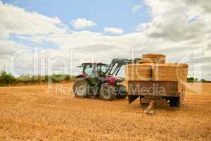These hay bales wont stack themselves. a farmer stacking hale bales with a tractor on his farm.