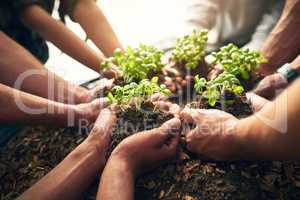 Growing is easier together. High angle shot of a group of unrecognizable people holding plants growing in soil.