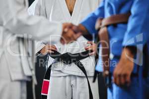 Handshake, karate and martial arts teamwork in competition, challenge and combat fight in wellness studio. Black belt trainer and sports fitness coach in gym workout, exercise and training for health