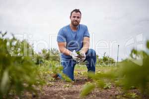 Farmer planting, growing and holding crops, plant and agriculture in environment, organic garden and sustainability field. Portrait of man and farm worker caring for future of nature conservation