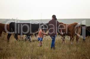 Cow farmer, mother and girl on farm, agriculture nature or cattle sustainability countryside field. Family bonding and working on healthy environment for cattle in meat, beef or food industry