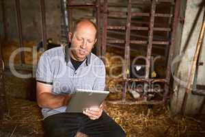 Technology can help in any industry. a male farmer using a tablet while sitting in a barn on his dairy farm.