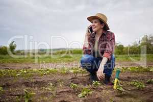 Agriculture farmer talking or networking on phone, happy with success or small business growth on a farm. Sustainability woman with good news on a cellphone call, planting vegetable crops or plants