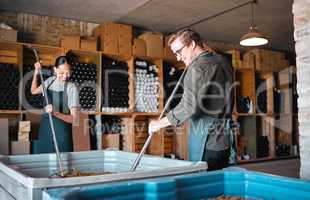 Winemaker workers in the process of making wine with a wine press tool or equipment in a warehouse, winery or distillery. Woman, man or vintner people pressing juice of grapes for alcohol industry