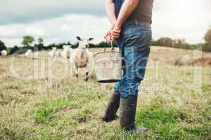 Strolling through my own land. a carefree unrecognizable male farmer holding a bucket of feed to give to his sheep outside on a farm during the day.