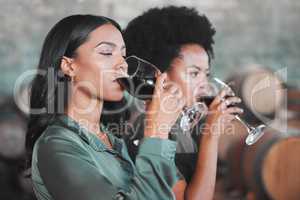 Women, wine tasting and drinking alcohol from glass in farm room, winery estate and local countryside distillery. Black friends, connoisseurs and sommeliers bonding and enjoying vineyard red merlot