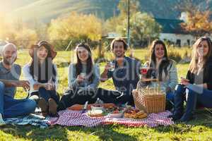 Good vibes and great times. Portrait of a group of friends having a picnic together outdoors.