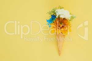 Certain things just makes us excited for summer. a cone stuffed with flowers against a colorful background.