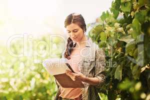 Farming involves more admin than youd think. a happy young farmer examining the crops on her farm.