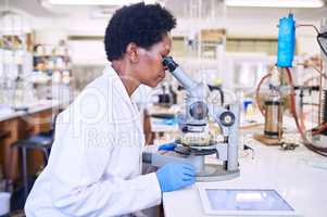 Science requires a critical eye. a female scientist using a microscope in a lab.