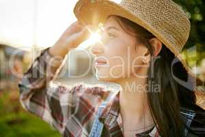 Farm, agriculture and woman farmer working in the field during spring at sunset to monitor growth. Wellness, sustainability and eco friendly female standing in a green, agro and sustainable garden.