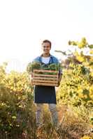 Farming gives you the opportunity to give back. a young man holding a crate full of freshly picked produce on a farm.