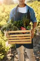 Grown naturally and picked at the peak of freshness. a man holding a crate full of freshly picked produce on a farm.