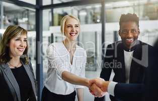 Theres another bright mind joining the team. businesspeople shaking hands in an office.