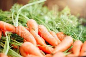 Background of carrot, healthy food and vegetables from nature, agriculture and sustainability garden at farmer market. Nutrition, fresh diet and growth of ripe and organic natural harvest for cooking