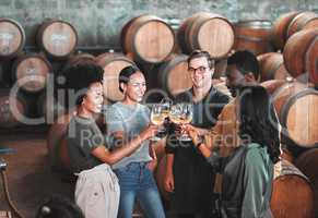 Friends, wine tasting or toasting alcohol with drink glasses in local farm distillery, winery estate or countryside room. Diversity, bonding or happy celebration people together with vineyard barrels